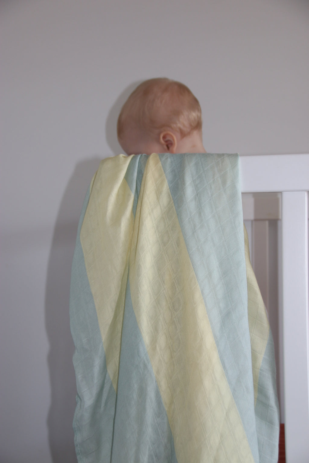 Swaddle Lemon Fizz